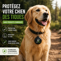 TickShield Pet – Protection pour votre chien