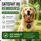 TickShield Pet – Protection pour votre chien
