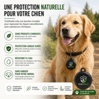 TickShield Pet – Protection pour votre chien